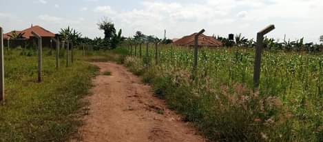 A picture of Plots on sale Busukuma kiwenda Busiika ready tittles