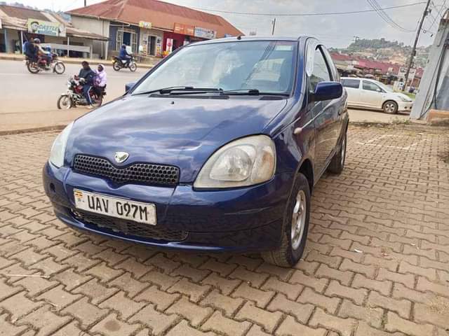 A picture of Vitz