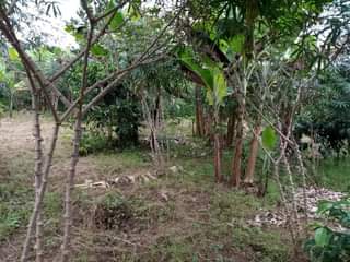 A picture of LAND 5 ACRES FOR SALE