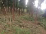A picture of Plot of land at kakiri for sale
