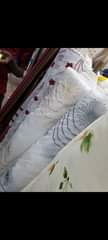 A picture of Curtains and accessories