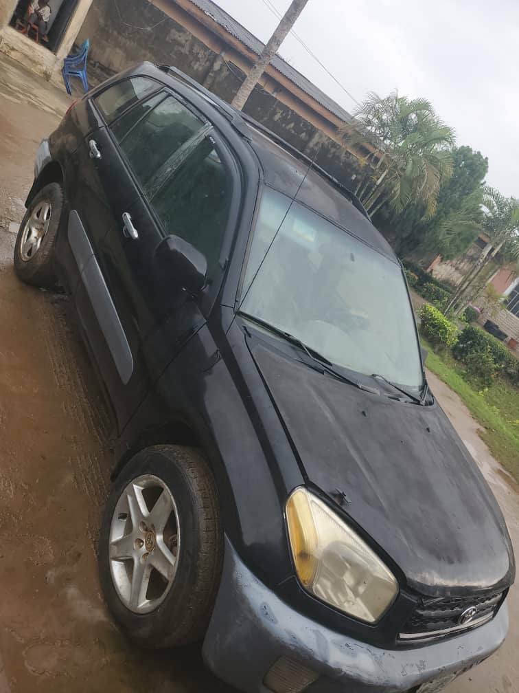A picture of Rav 4