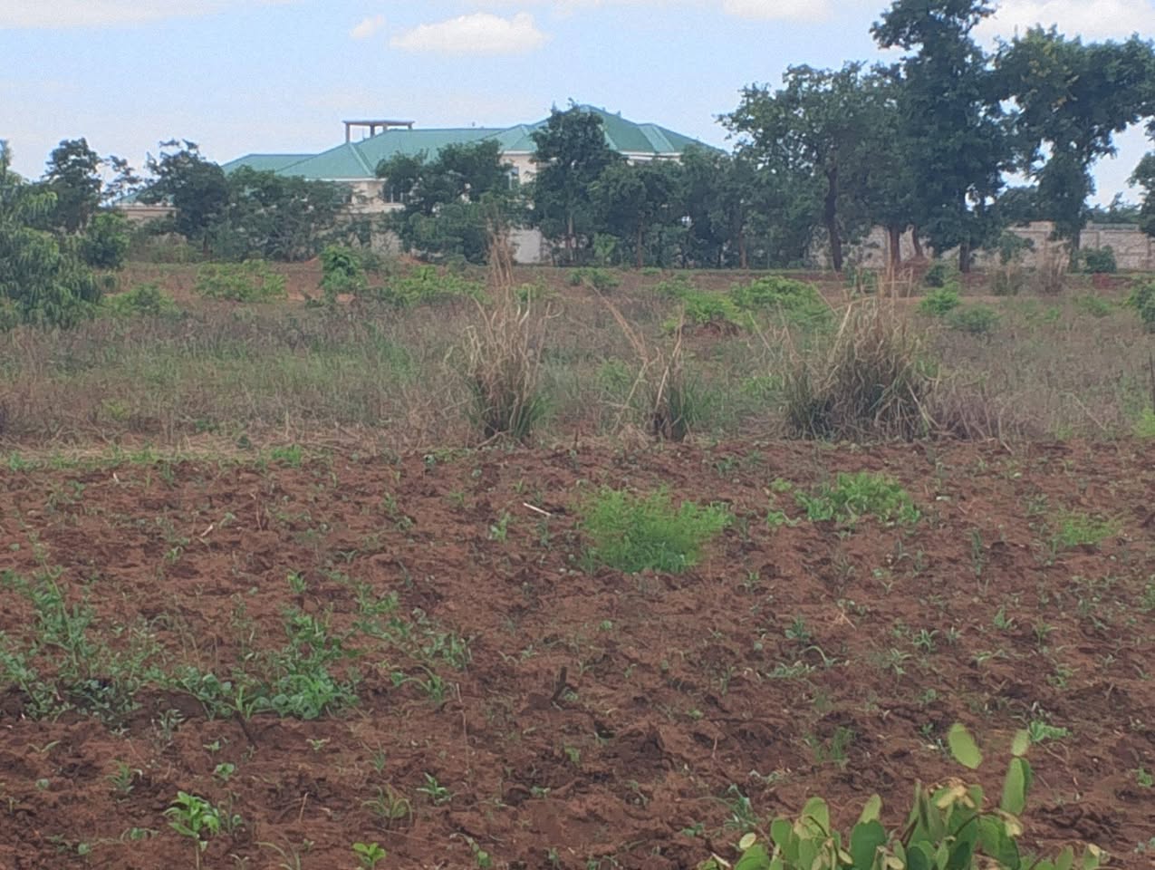 A picture of PLOT FOR SALE SIZE 2 ACRES 0989849411