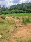 A picture of Acres and plots of land