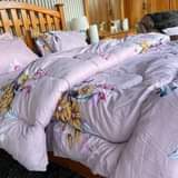 A picture of Duvets