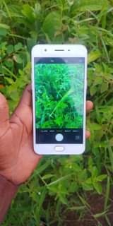 oppo a57