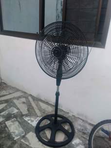 A picture of Feni