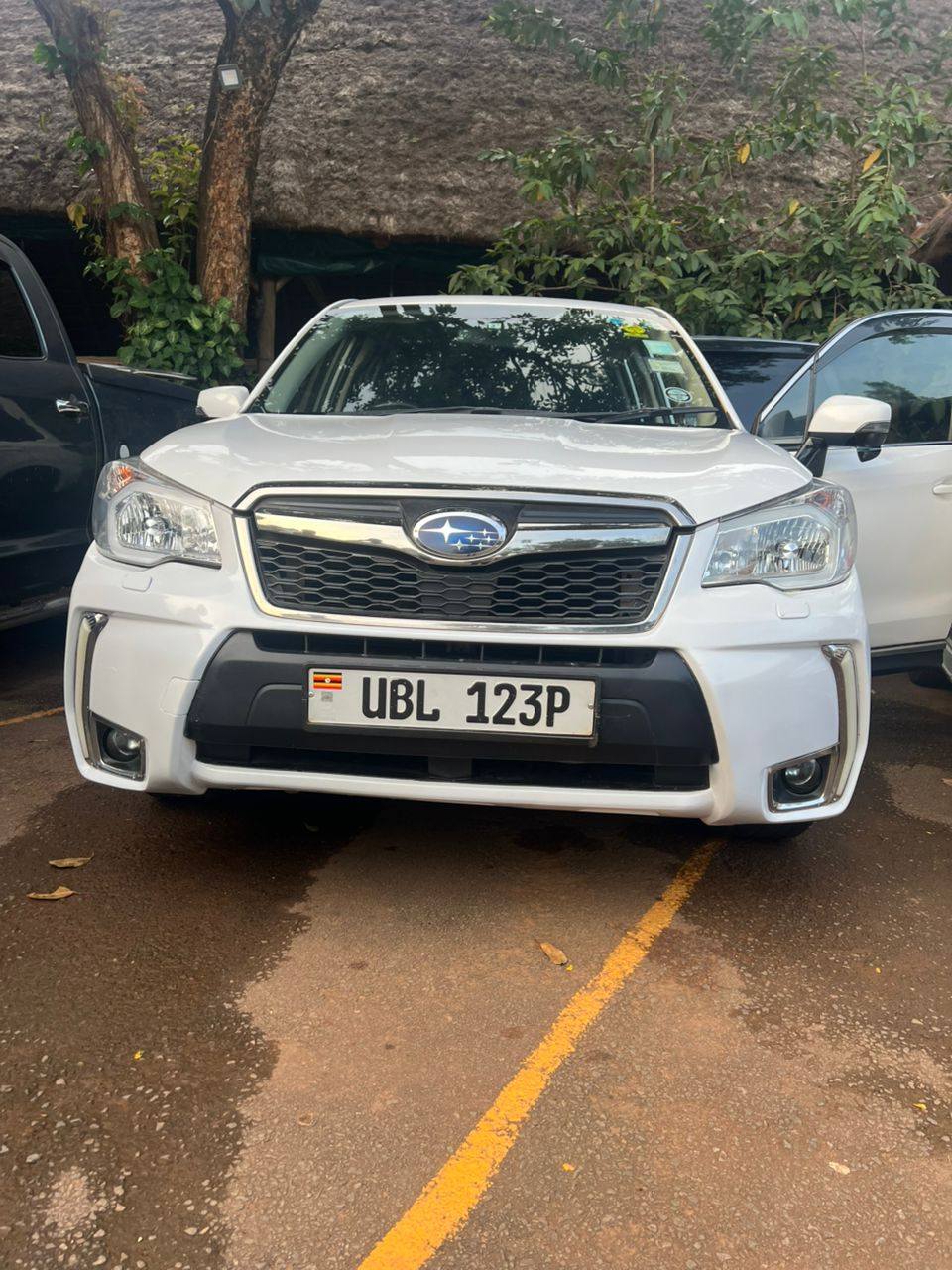 A picture of Subaru Forester