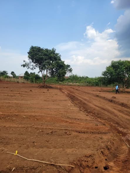 plots gayaza