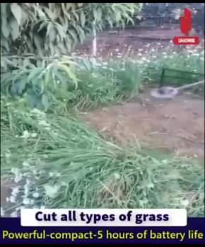 A picture of FAMILIES ARE SAVING MONEY WITH THIS GRASS TRIMMERThe rechargeable trimmer