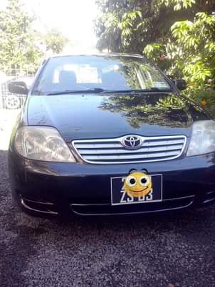 used toyota corolla
