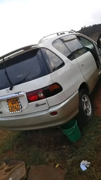 A picture of Toyota ipsum