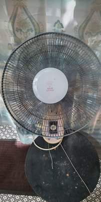 A picture of Feni ya ukutani