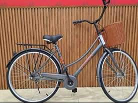 A picture of 22 STANDARD SIZE CRUISER BICYCLE
