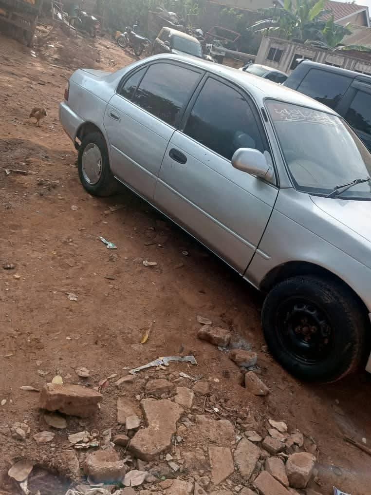 A picture of 1999 Toyota corolla ae