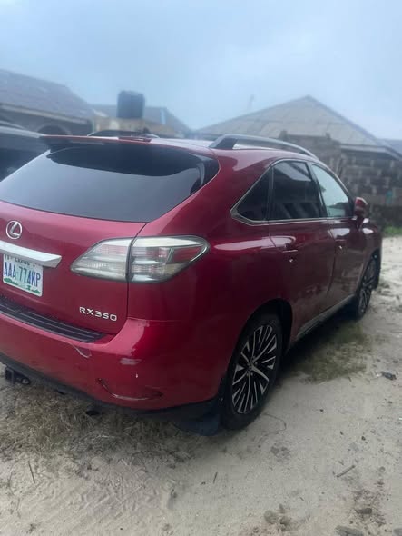 A picture of 2010 RX350