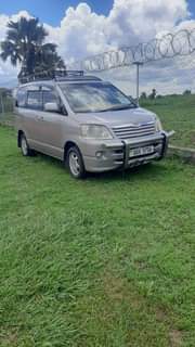 Cars256