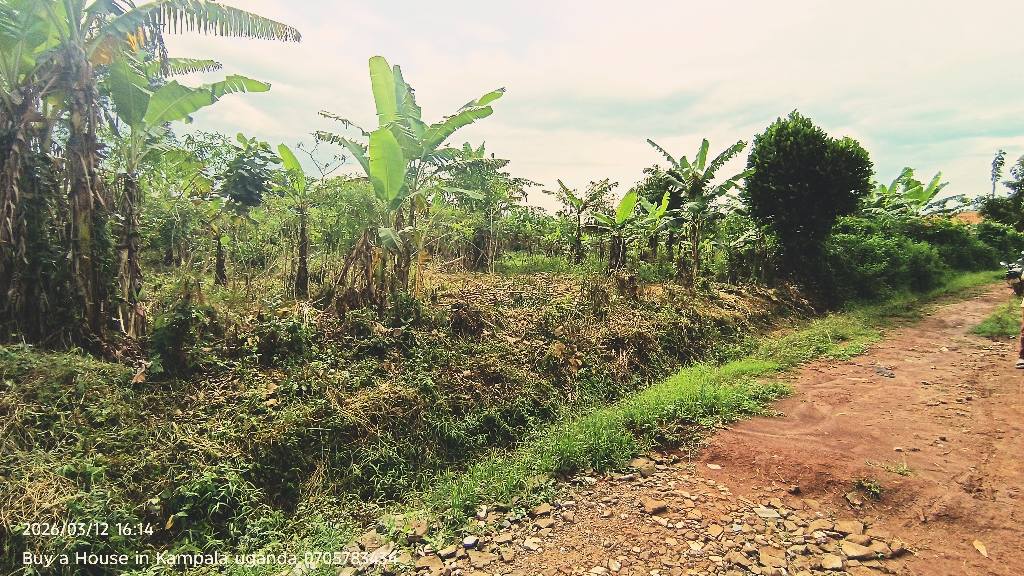 A picture of Namugongo Sonde kiwango estate 3plots on 11decimals on sale at