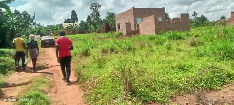 A picture of Plots for sale with title 12m matuga ssanga 5 plots