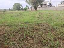 Mathu M.