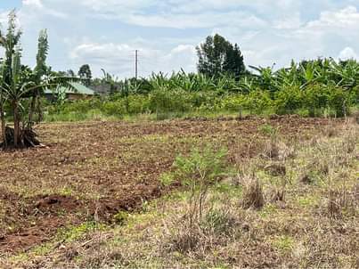 A picture of Plots at 15m Nakasajja kasenene