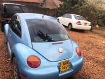 A picture of Volkswagen Bettle