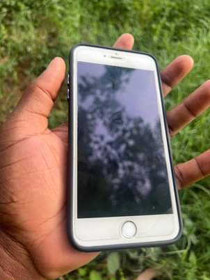 iphones 6