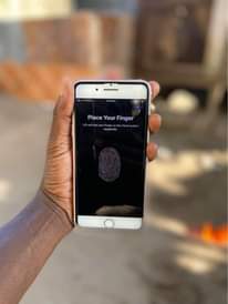 A picture of iPhone 7 Plus