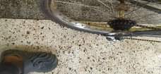 A picture of Mountain bike
