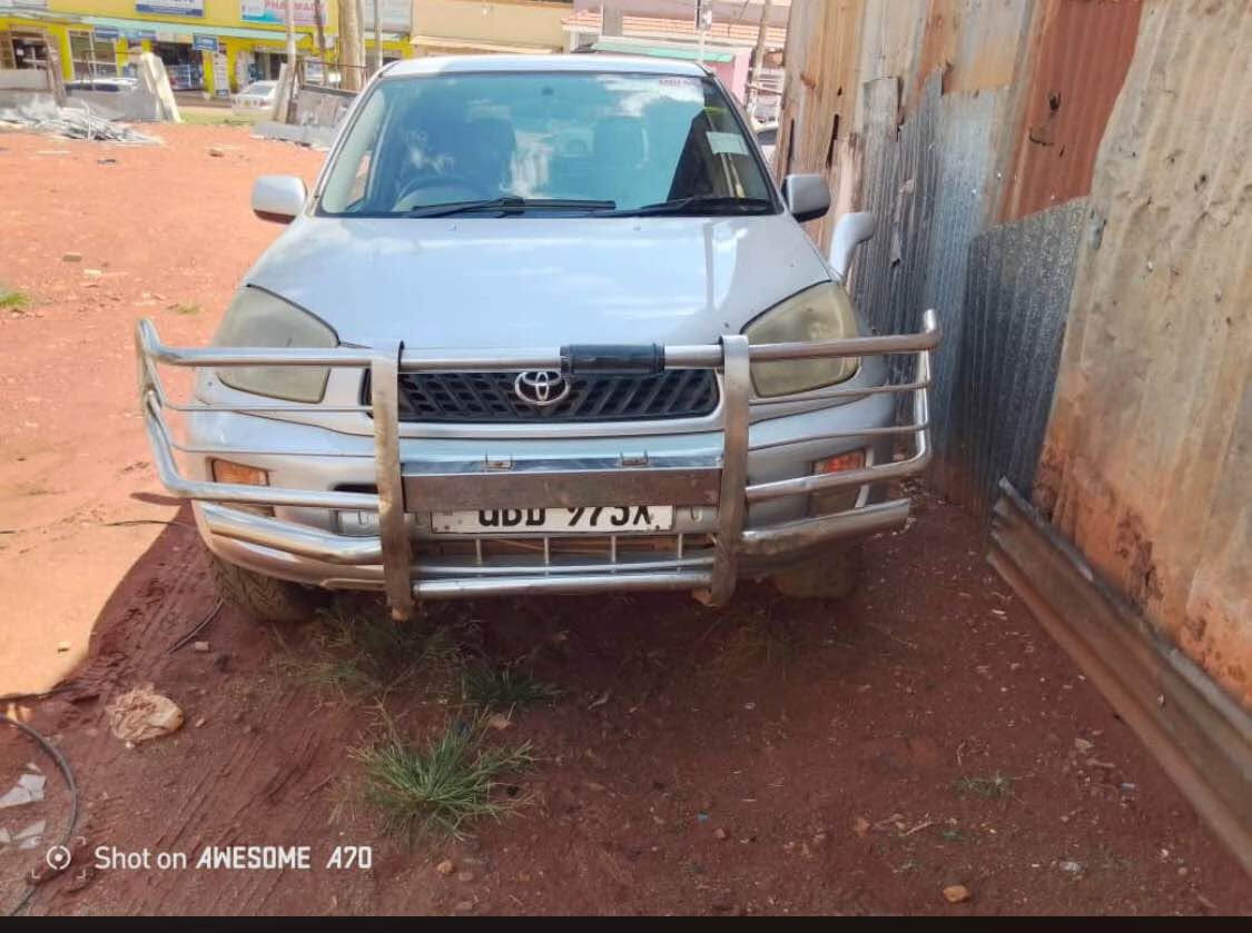 A picture of Rav4