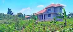A picture of AFFORDABLE PLOTS WITH LAND TITLES KYAPA MU NGALO IN WAKISO