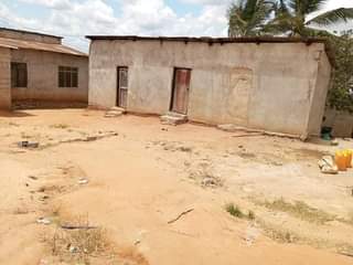 A picture of PANAUZWA PRICE MILION 8 5