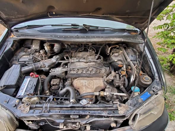honda odyssey