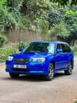 A picture of Forester