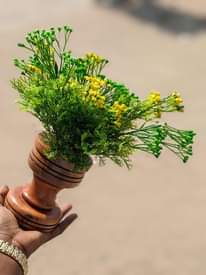 A picture of Vase flower 