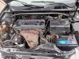 A picture of Camry big daddy