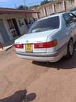 A picture of 13 5m 0707033900