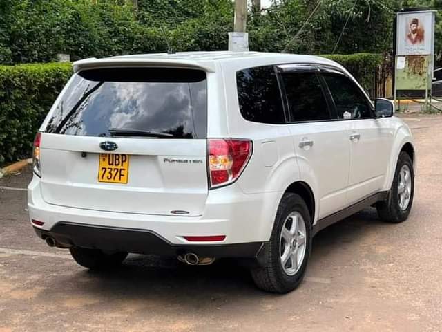 A picture of 2014 Subaru Forester