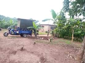 A picture of PLOT 25 100FT FOR SALE