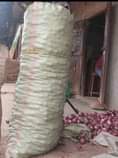 A picture of Onions