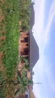 A picture of Kabuuma munyonyo rd rental business