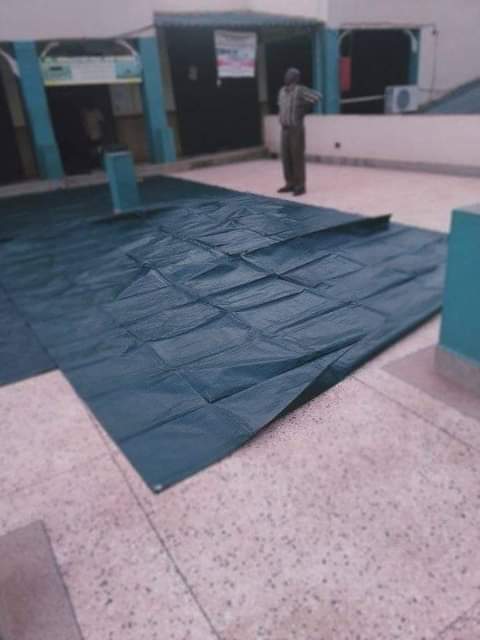 A picture of Tarpuline