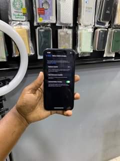 A picture of iPhone XR