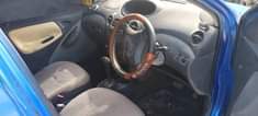 A picture of Vitz