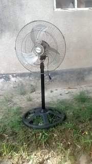 fans