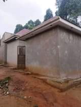 A picture of Quick sale 7single rooms on sale 31 located at nansana