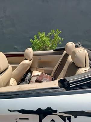 A picture of Toyota Solara 07