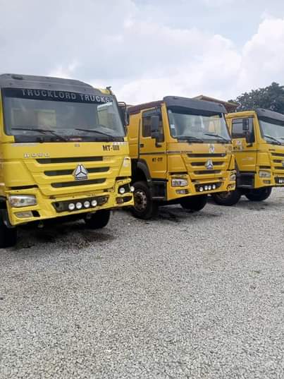 A picture of 12 tyres howo dump trucks