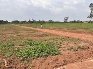 A picture of Cheapest plots with titles in kakiri Town 0704759507