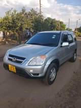 used honda crv